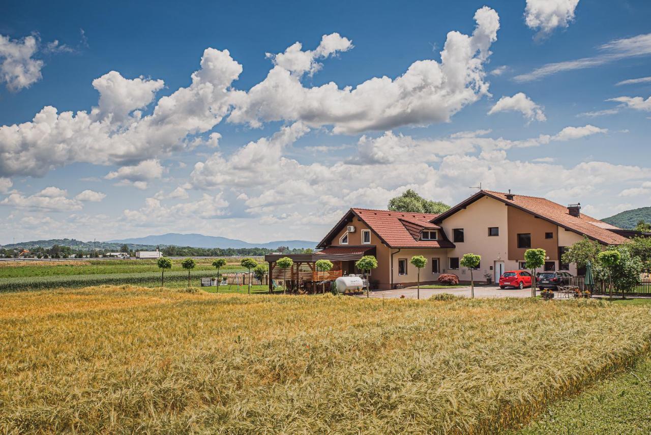 Lux Living Apartments Budic Near Terme Catez Brezice Exterior photo