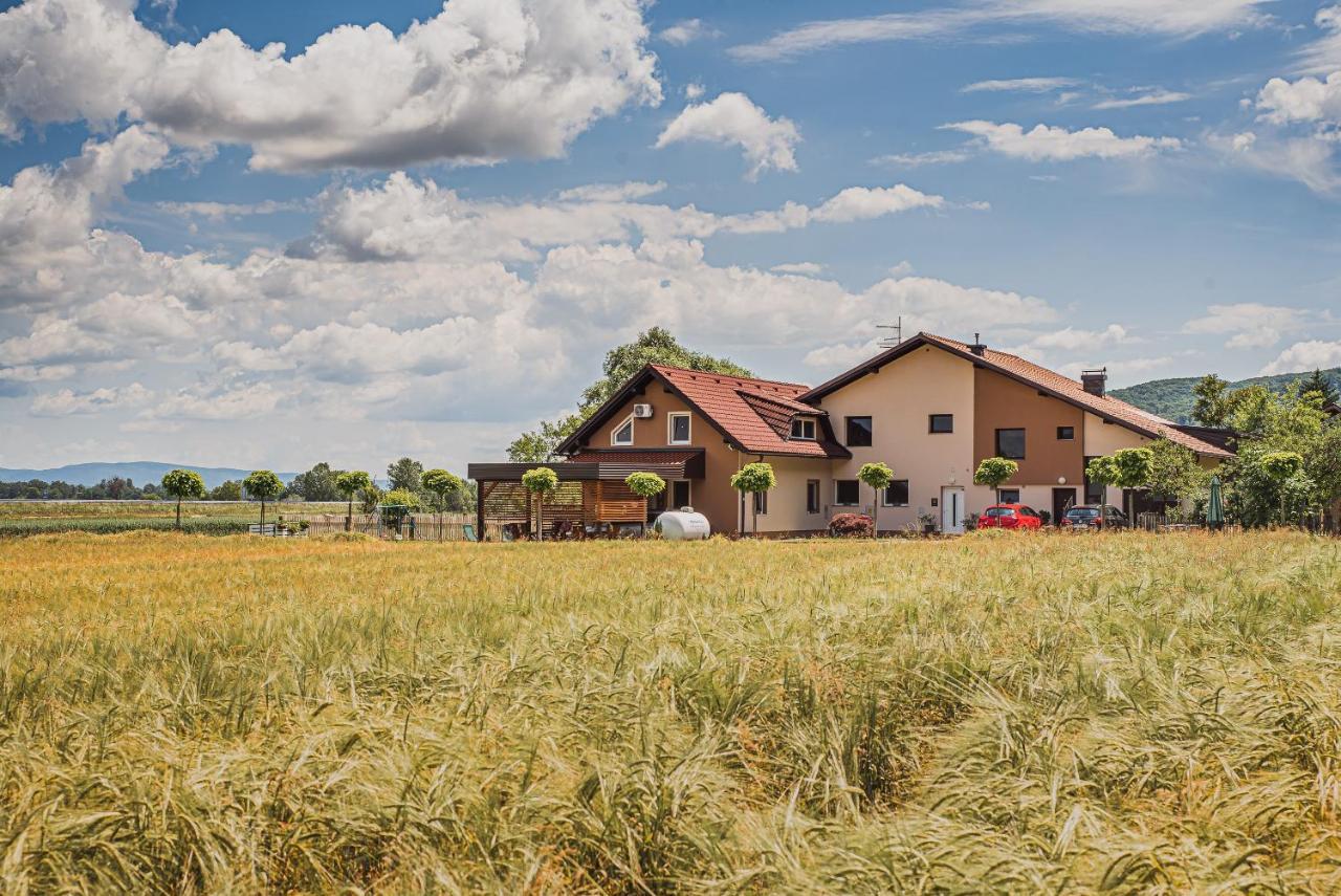 Lux Living Apartments Budic Near Terme Catez Brezice Exterior photo