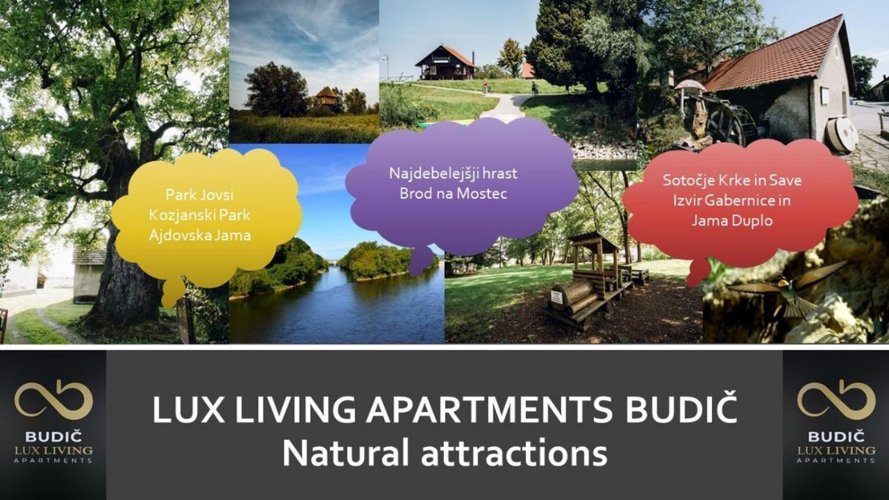 Lux Living Apartments Budic Near Terme Catez Brezice Exterior photo